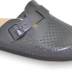 TRITON Professional – radne klompe