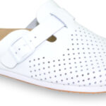 TRITON Professional – radne klompe