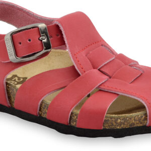 papilio crv PAPILIO classic art.422350